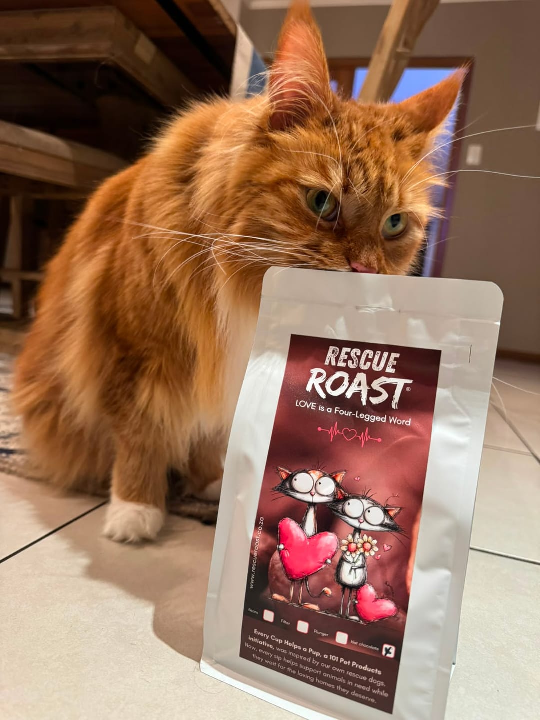 Customer photo review of Cat - LOVE Edition 1
