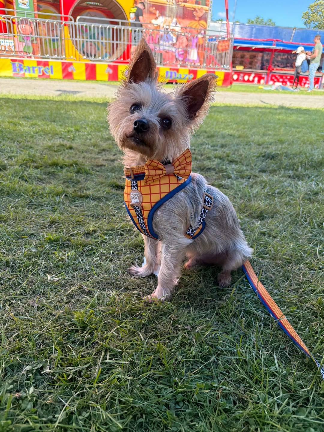 Customer photo review of Disney© Tough Trails™ Harness - Woody