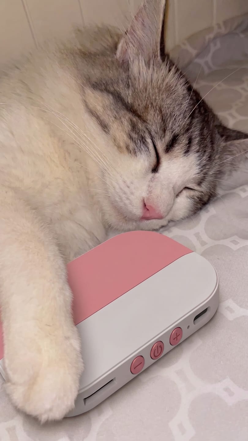 Customer photo review of PawSpa® Calmy™ — Sonidos de Relajación para Mascotas