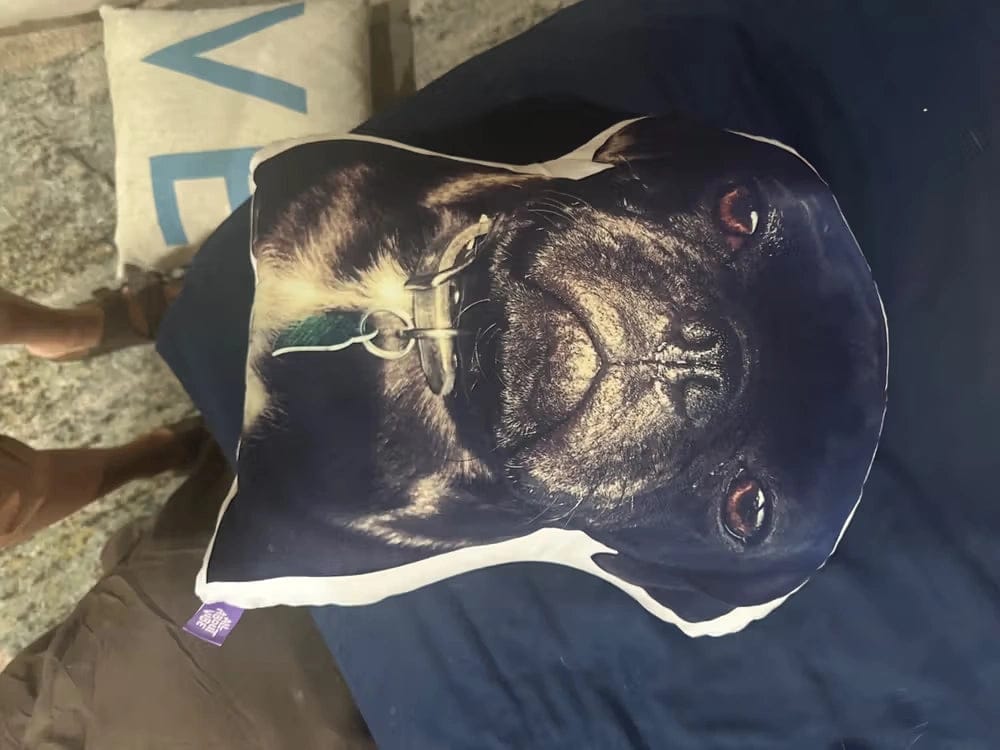 Customer photo review of Custom Photo Pillow for College & Back to School – Personalized Shaped Hug Pillow