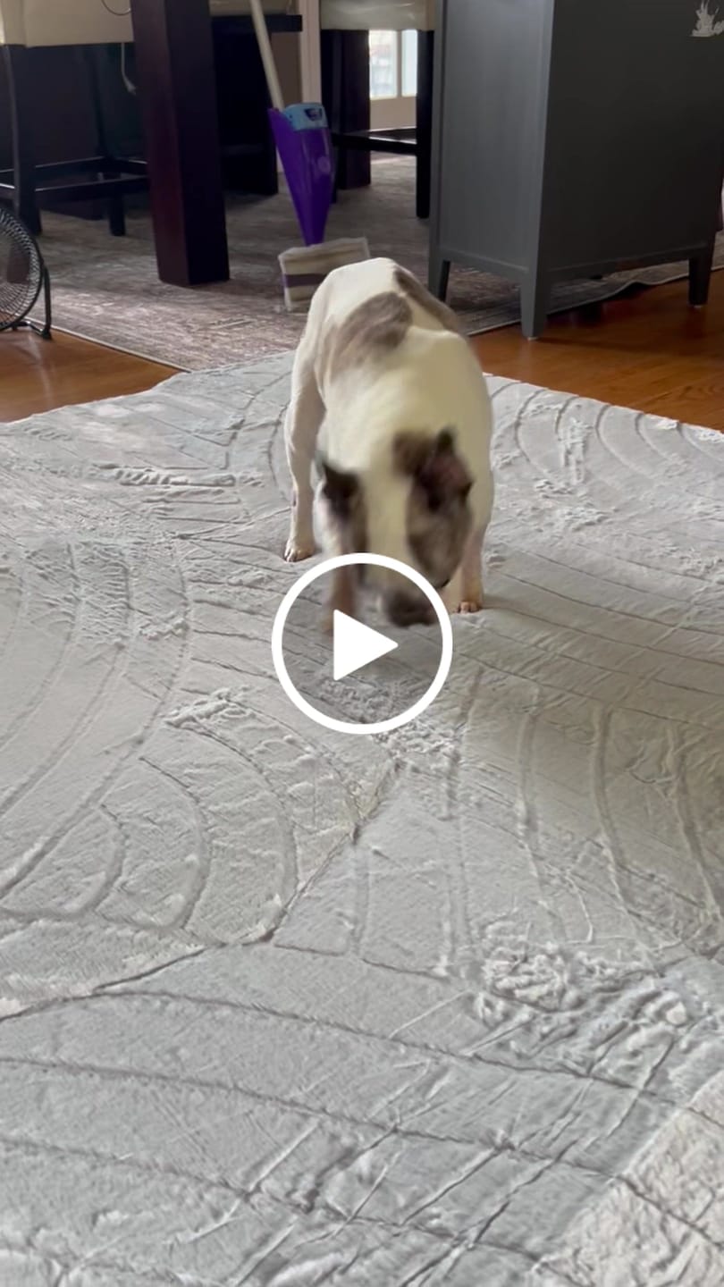 Customer video review of Designer Relax Mat - 1.4" Thick Foam Base