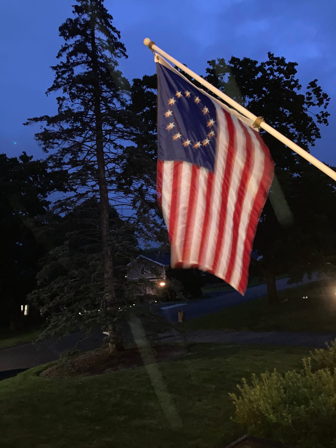 Customer photo review of 3' x 5' Betsy Ross Flag