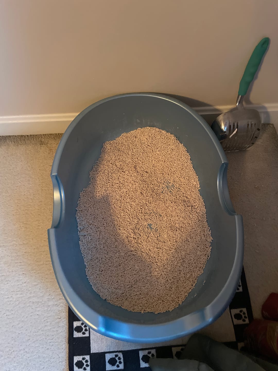 Customer photo review of Michu Natural Clumping Tofu Cat Litter 5.5lb/88oz