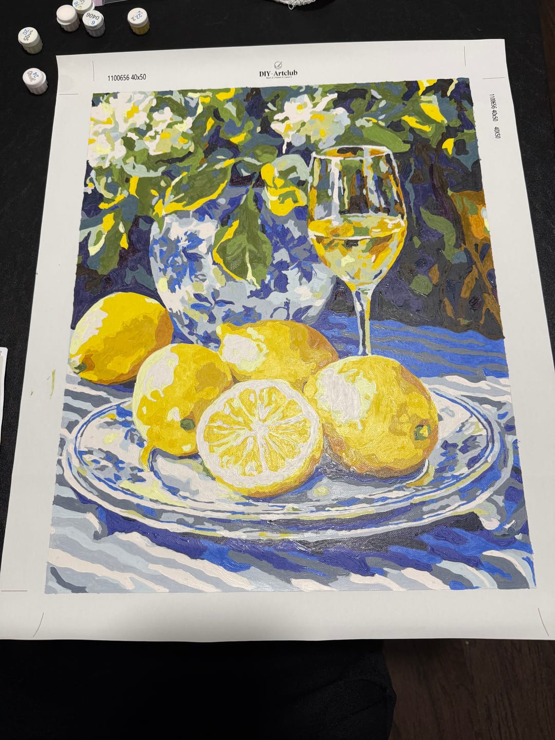 Customer photo review of Lemons and Wine | Paint by Numbers