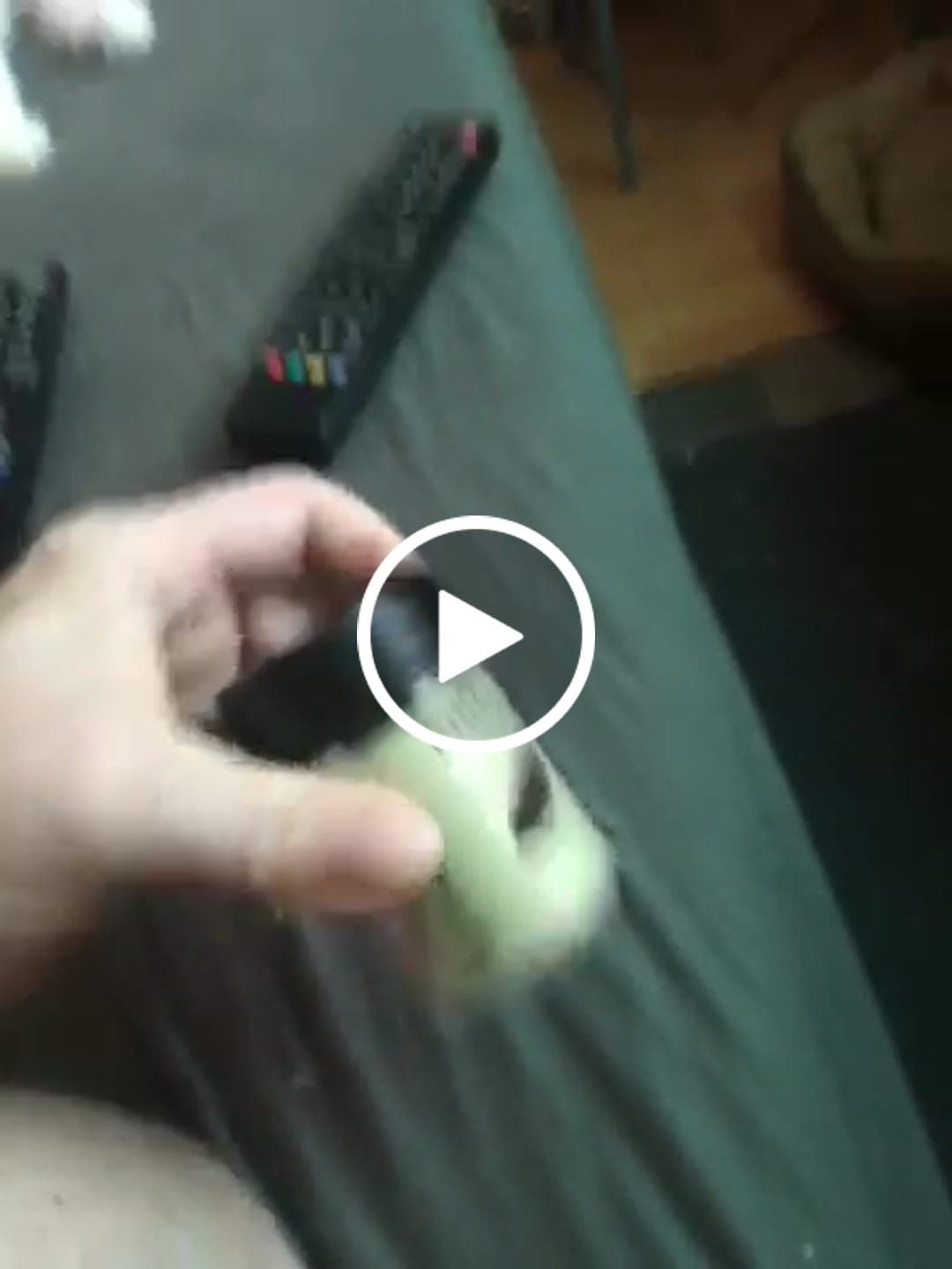 Customer video review of PRO Gummies