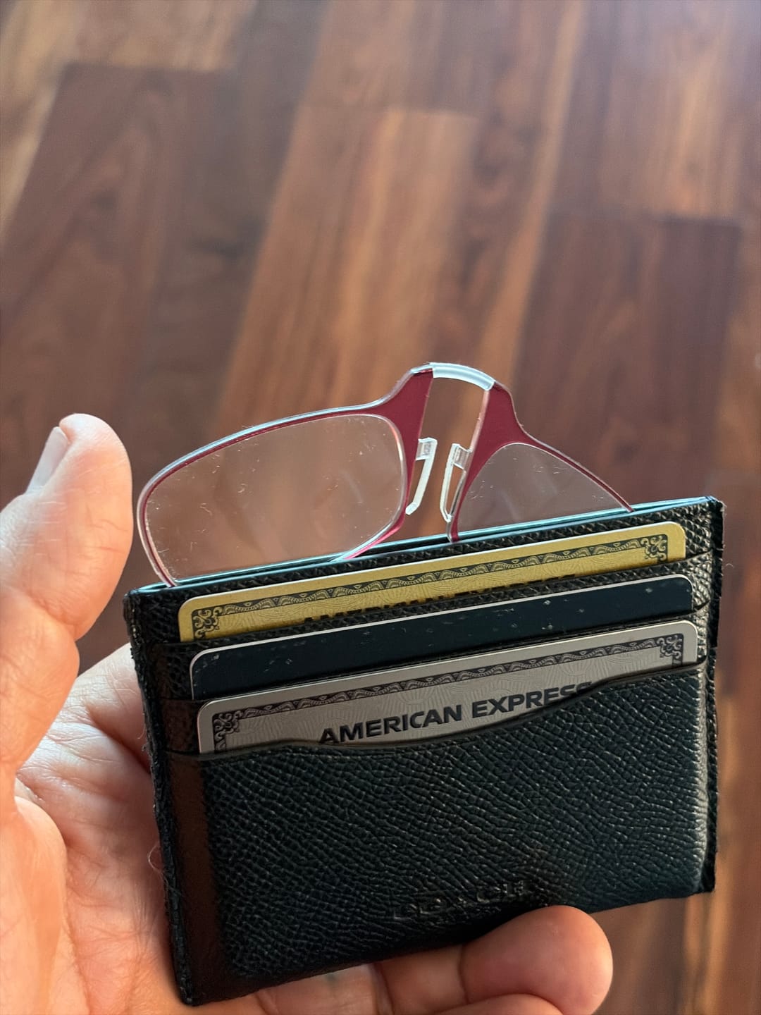 Customer photo review of Menlo Park Sunglasses