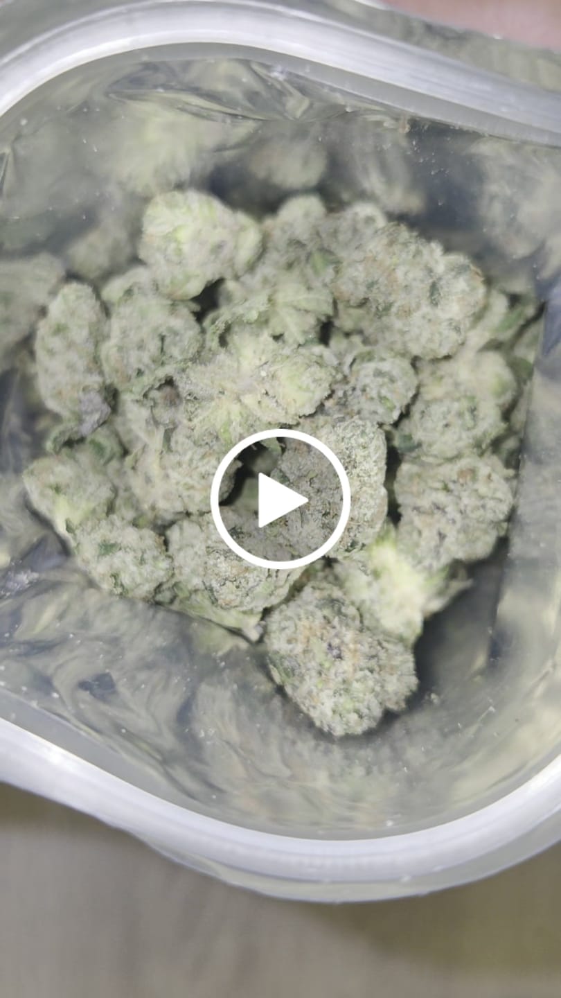Customer video review of Zkittlez THCA Flower (Budget)