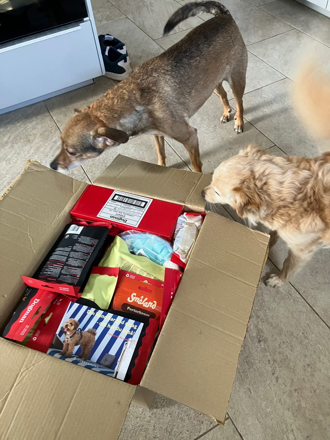 Customer photo review of Hundeis m. vanilje