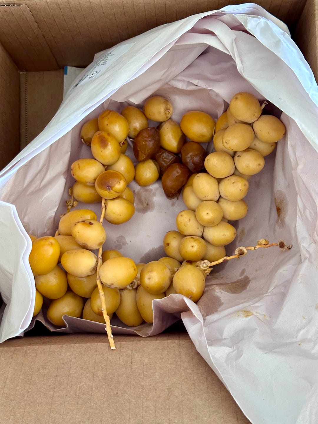 Customer photo review of Organic Yellow Barhi Dates (Khalal Barhi Dates)