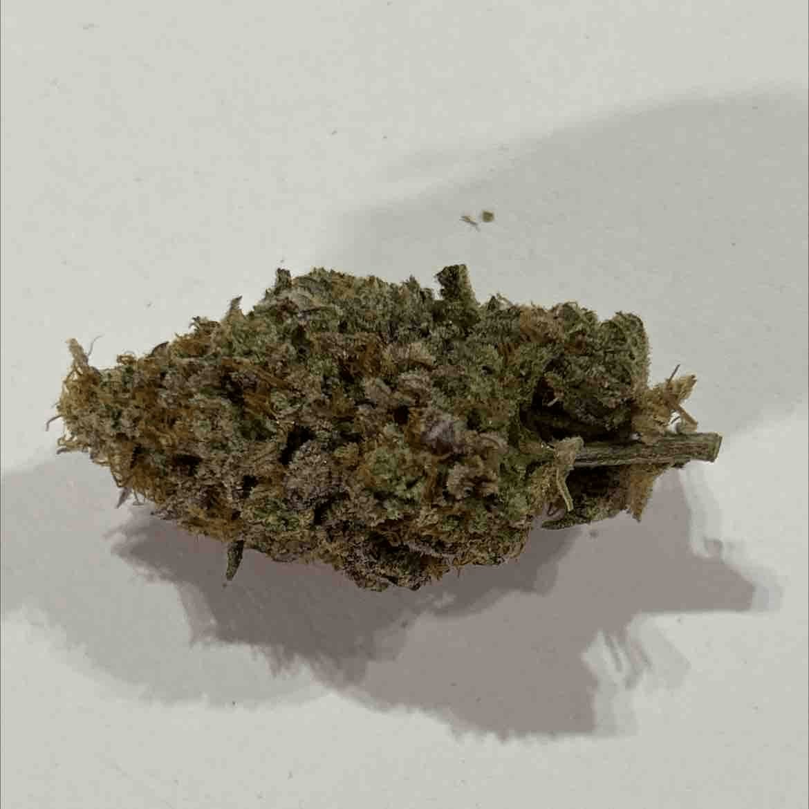Customer photo review of Hella Jelly - 28 Grams - Sativa