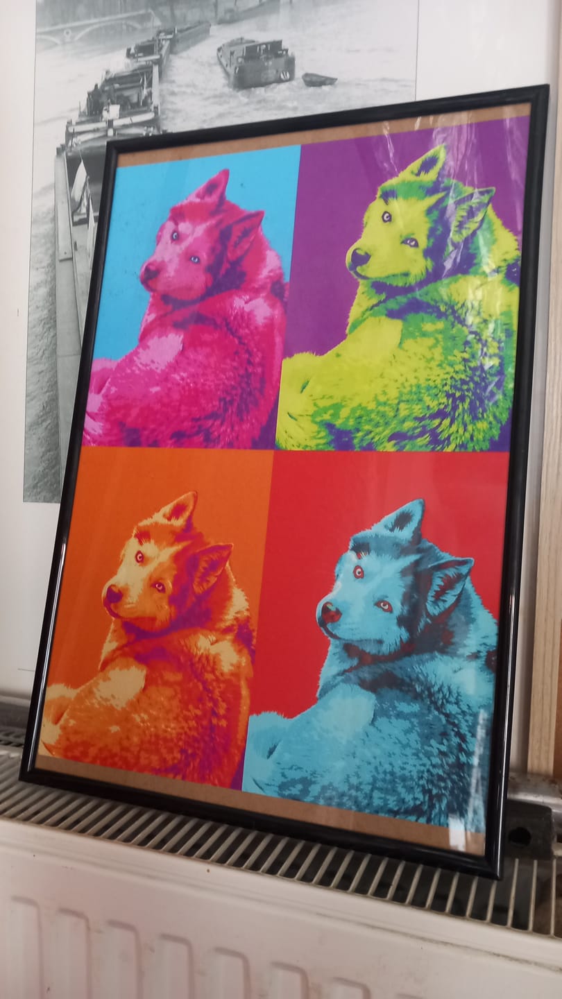 Customer photo review of Kleurvlakken - Gepersonaliseerde Poster