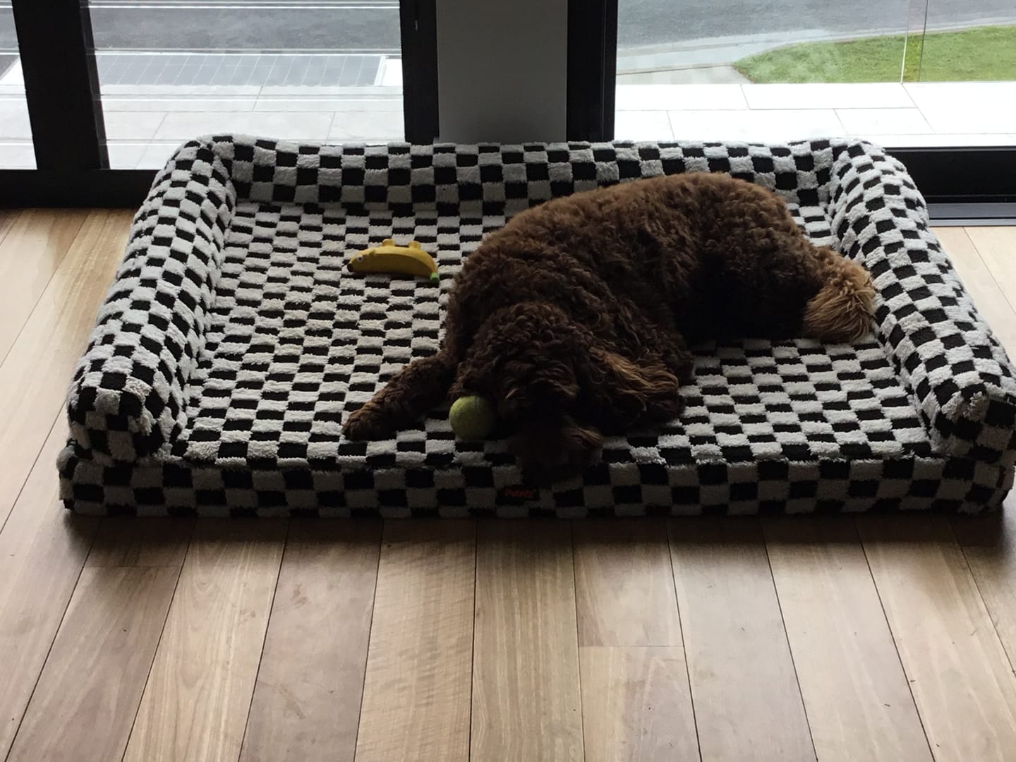 Customer photo review of Orthopedic Dog Bed Pet Mat Calming Checkered Plush Sofa Washable