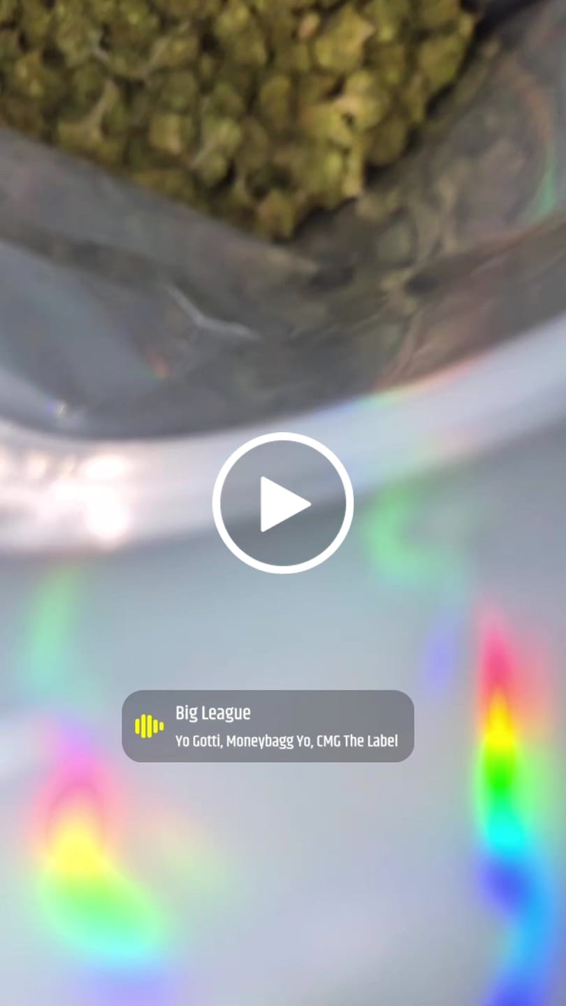 Customer video review of Melon - Hybrid