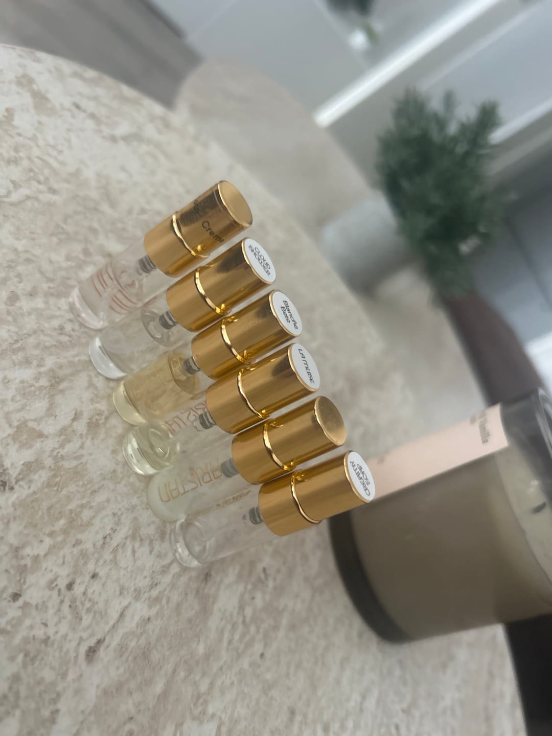 Customer photo review of Discovery Set