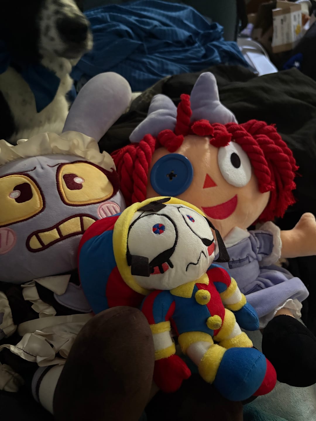 Customer photo review of Ragatha Plush
