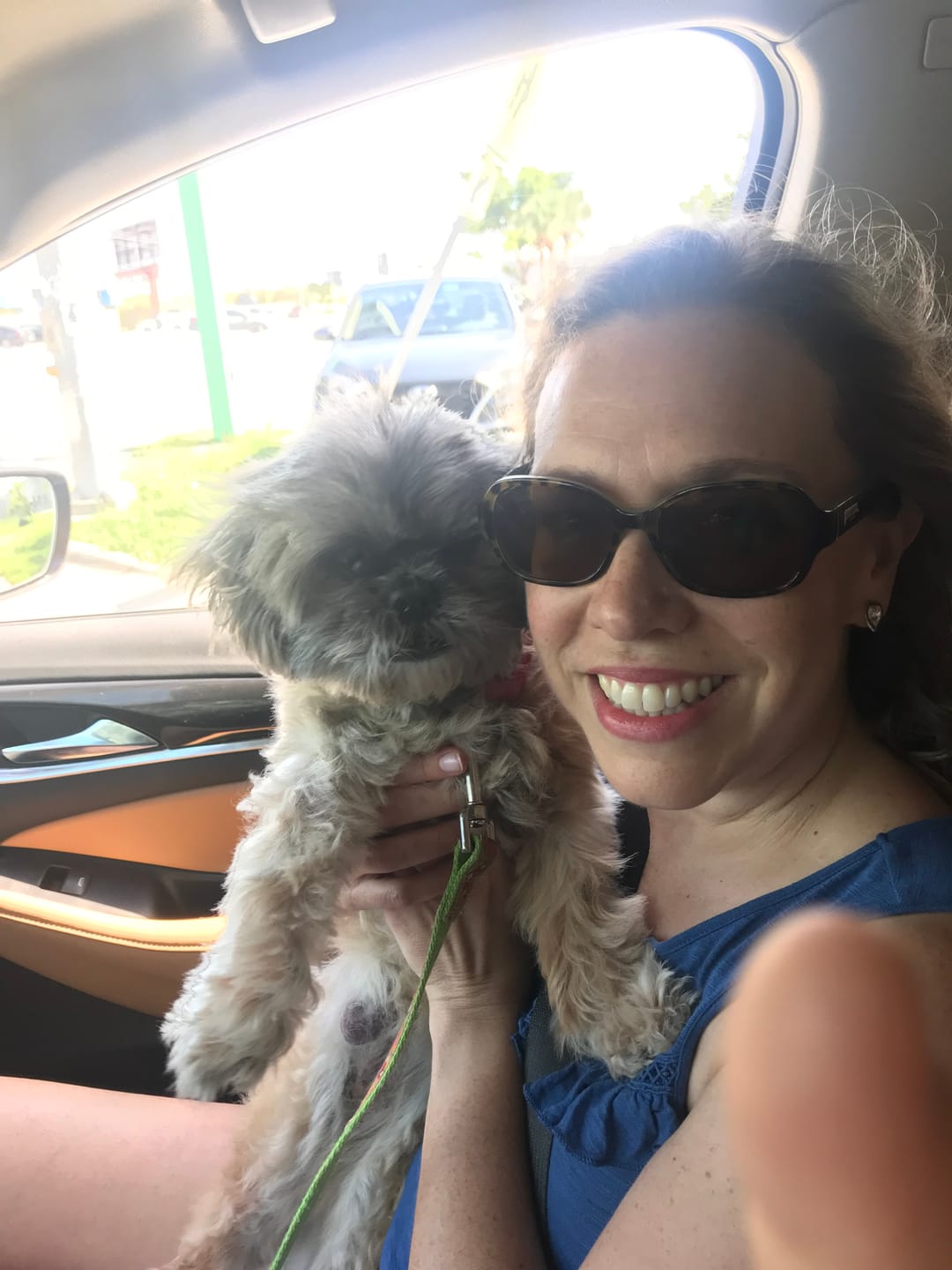 Customer photo review of Dogshood ™ Easy On