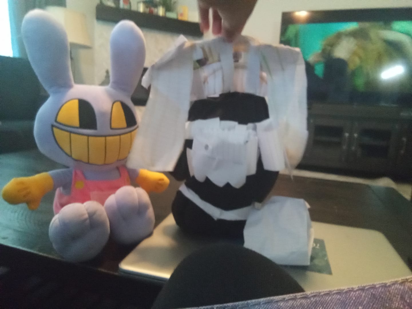 Customer photo review of Jax Plush