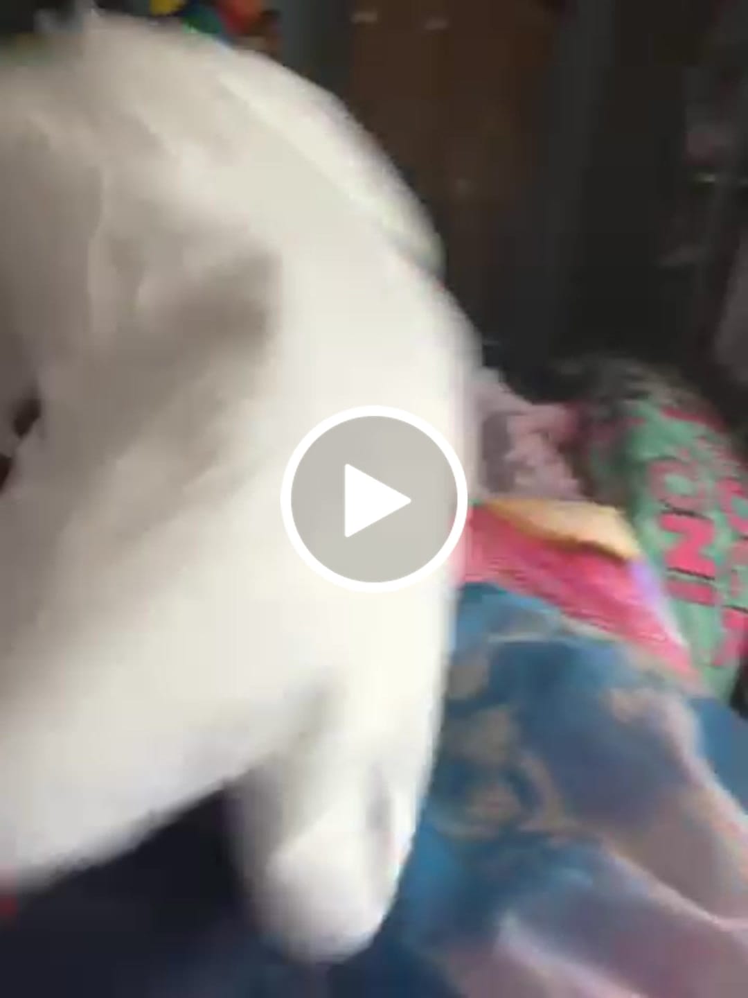 Customer video review of Original Character (OC) Design Plush