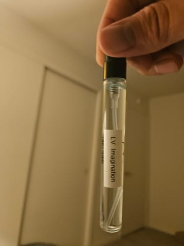 Customer photo review of Louis Vuitton Imagination