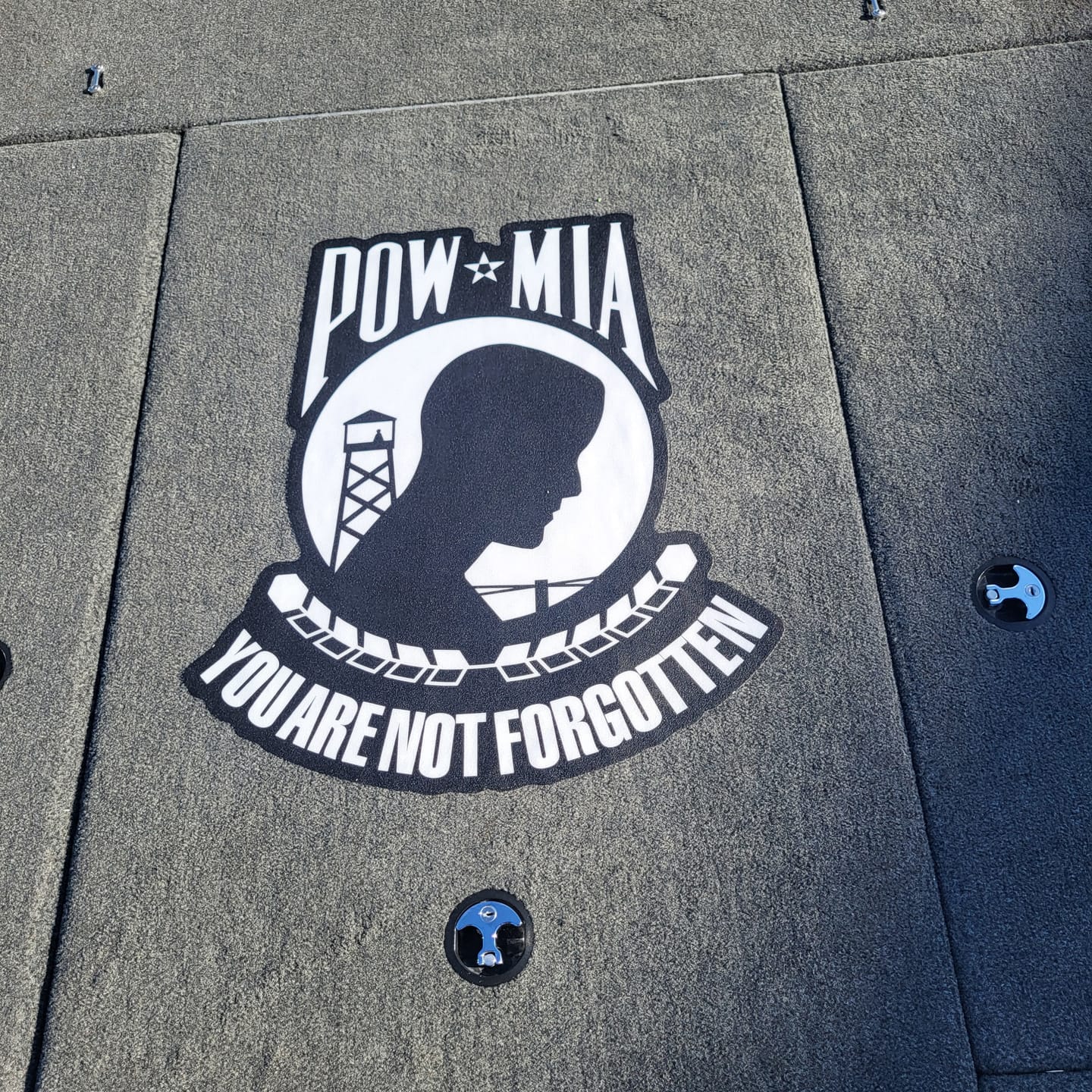 Customer photo review of POW Carpet Graphic