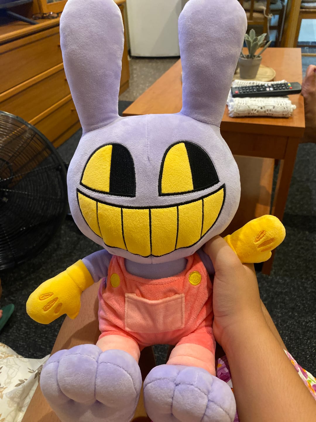 Customer photo review of Jax Plush