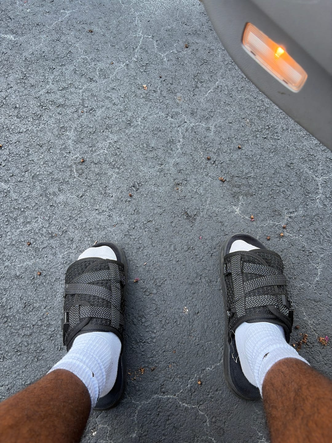 Customer photo review of Reflective Dracoslides