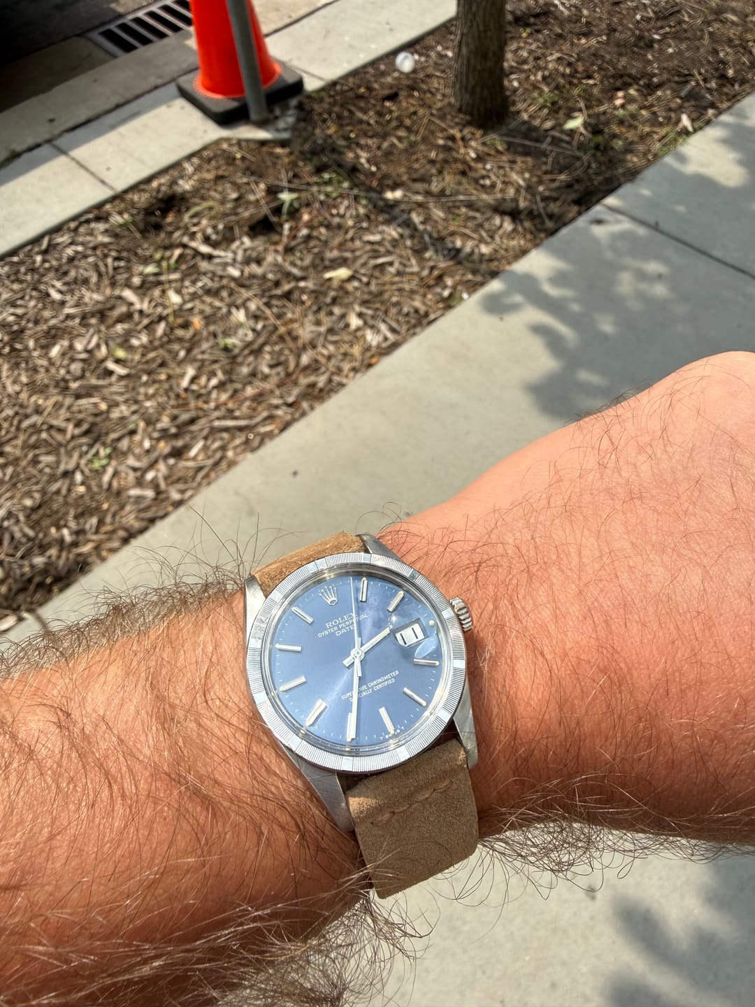 Customer photo review of Dogwood Suede