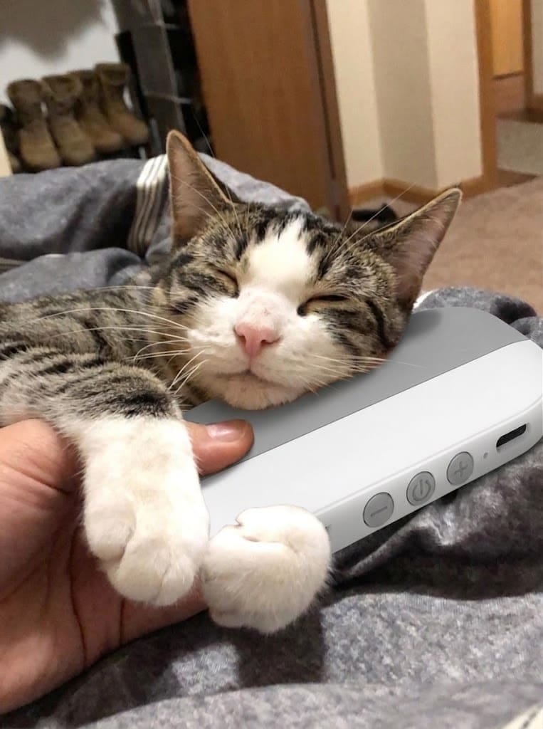 Customer photo review of PawSpa® Calmy™ — Sonidos de Relajación para Mascotas