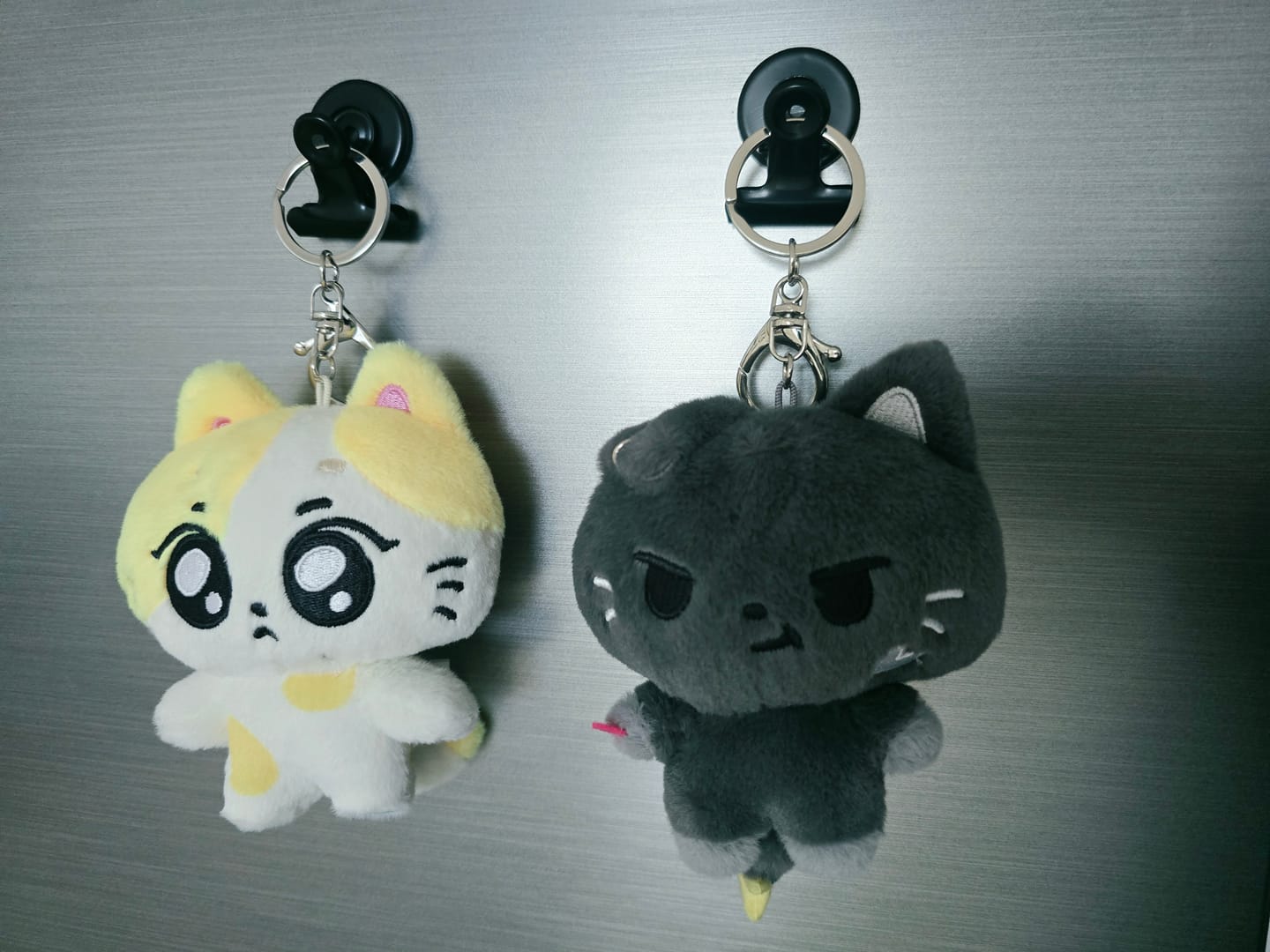 Customer photo review of ENHYPEN - INSIDE YOUR POCKET, ENCHIN CHARACTER OFFICIAL MD PLUSH KEYRING