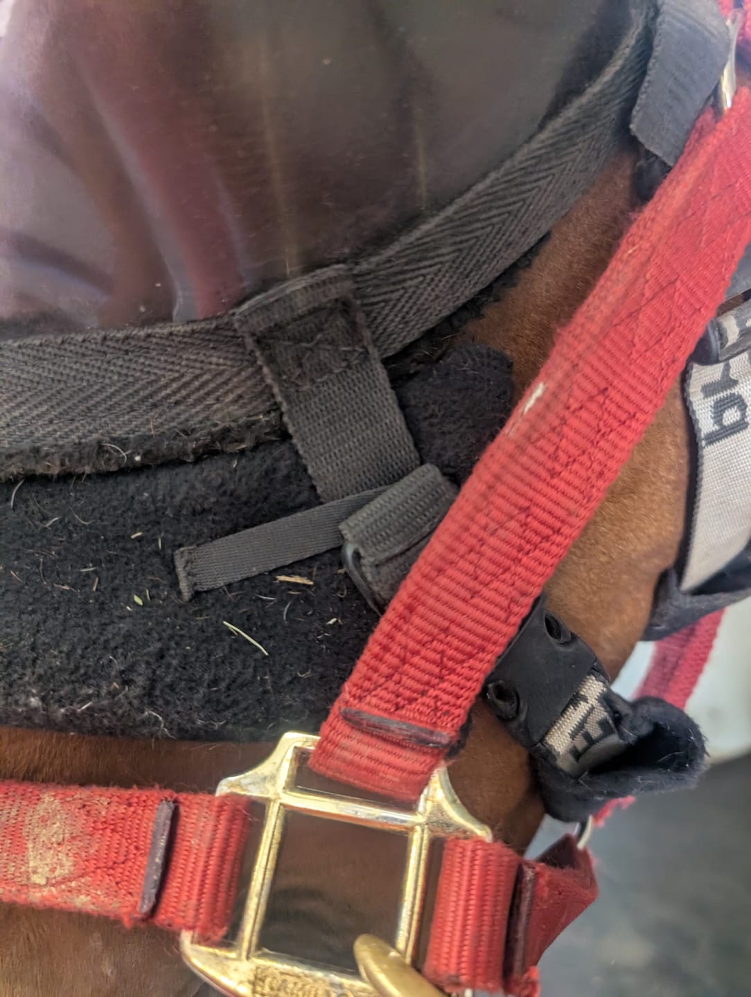 Customer photo review of Recovery Vizor Padding Set