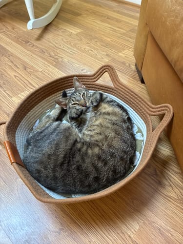 Reviewer's tabby cat curled up sleeping in a round, brown rope Instinct Basket on a wooden floor.