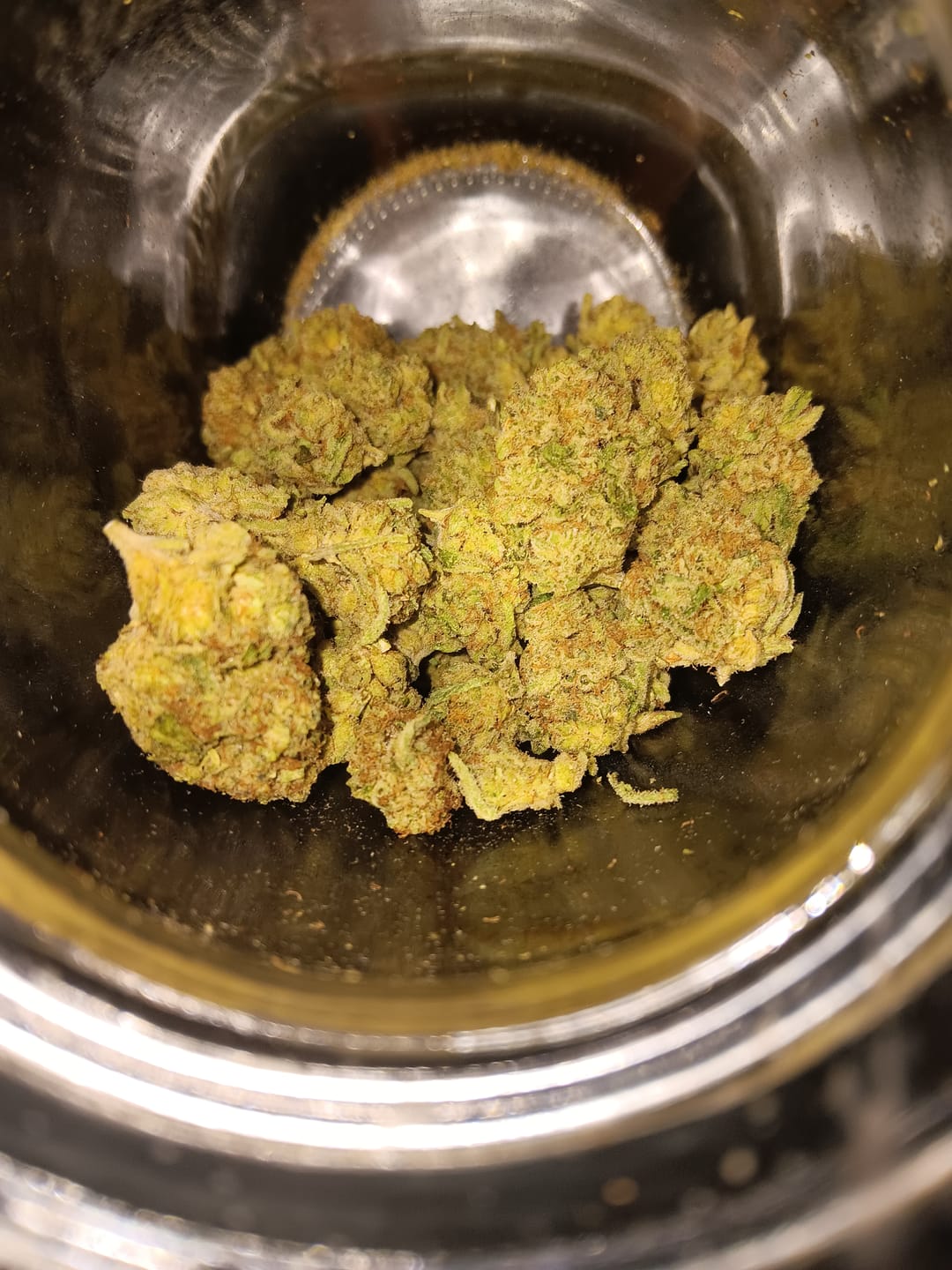 Customer photo review of Gelato Bomb Greenhouse THCA