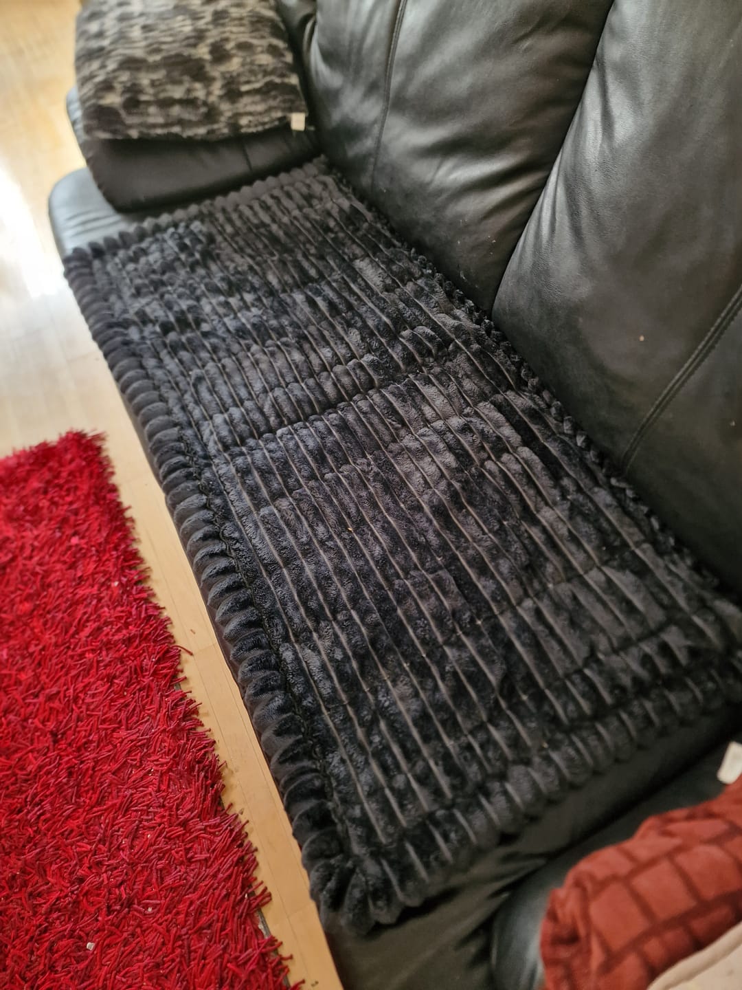Customer photo review of PetLounge I Premium Sofa-Schutz