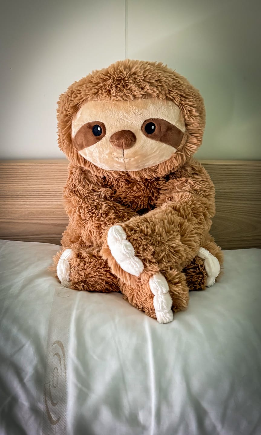Customer photo review of Lotgenootje Luiaard 2,5kg