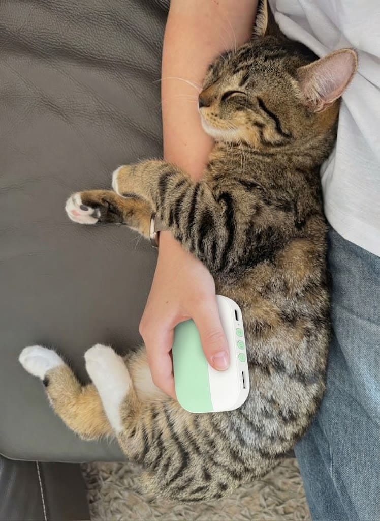 Customer photo review of PawSpa® Calmy™ — Sonidos de Relajación para Mascotas