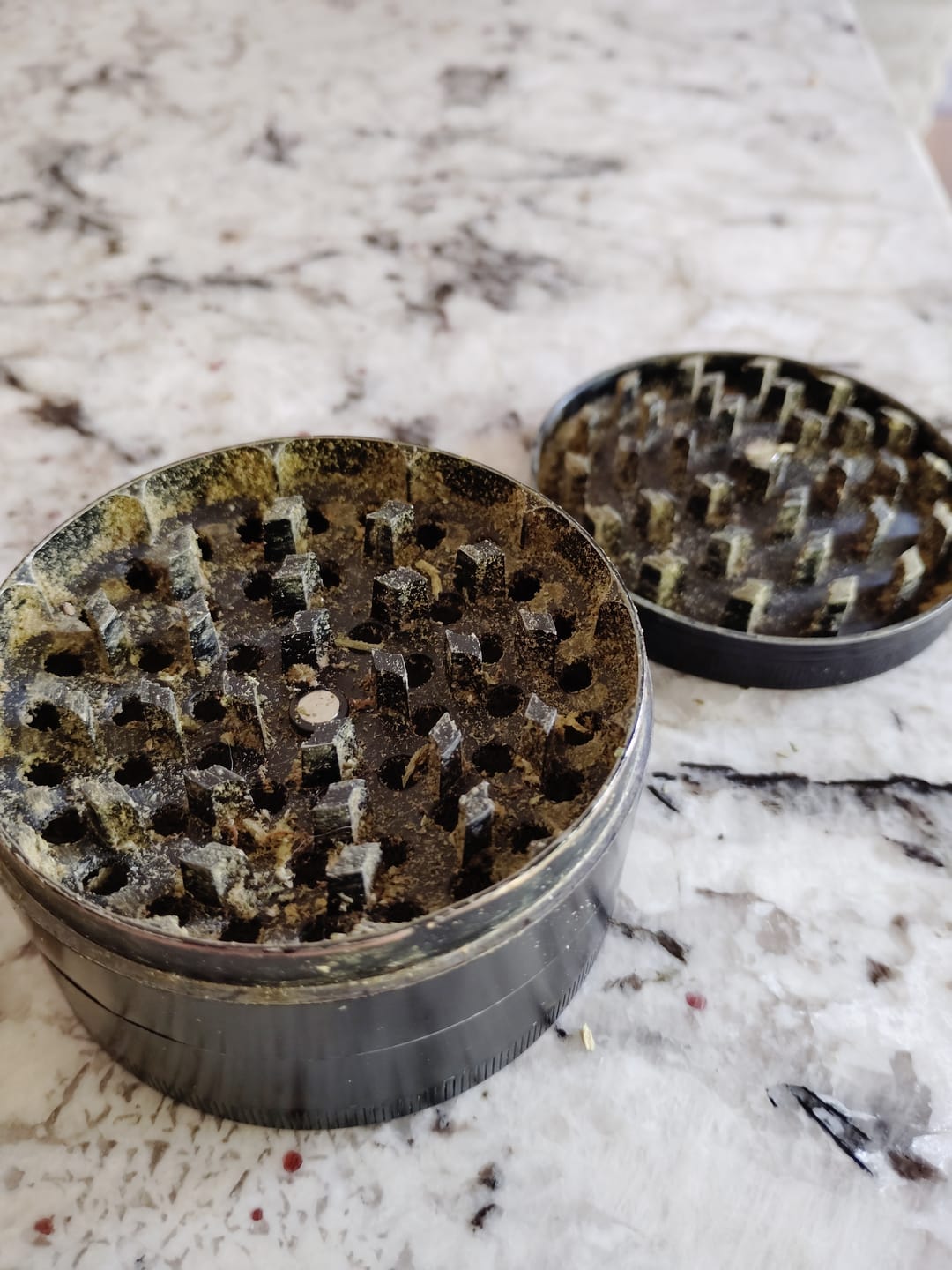 Customer photo review of Sativa Blend Shake Flower