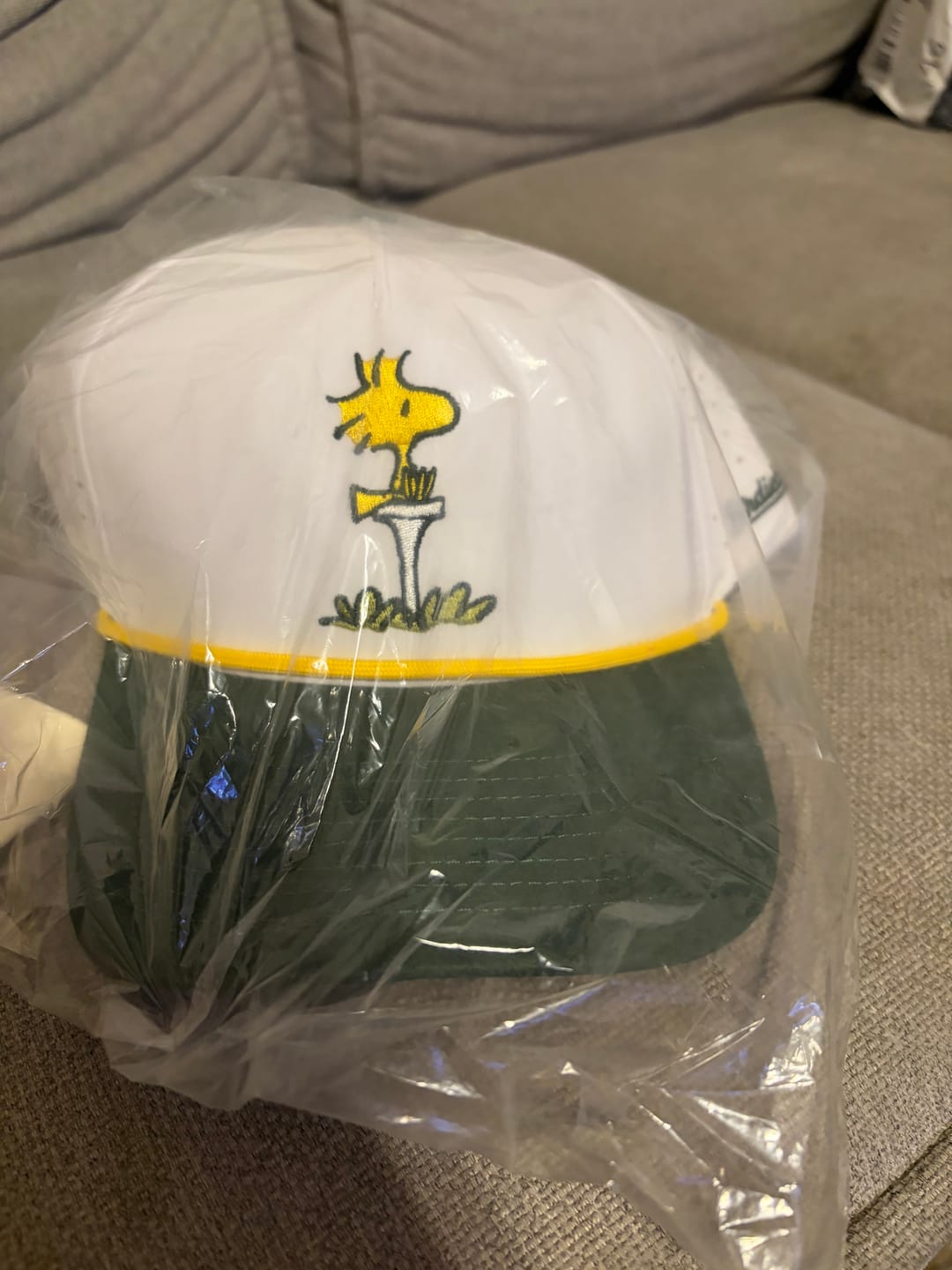 Customer photo review of Peanuts Clubhouse Crest Hat