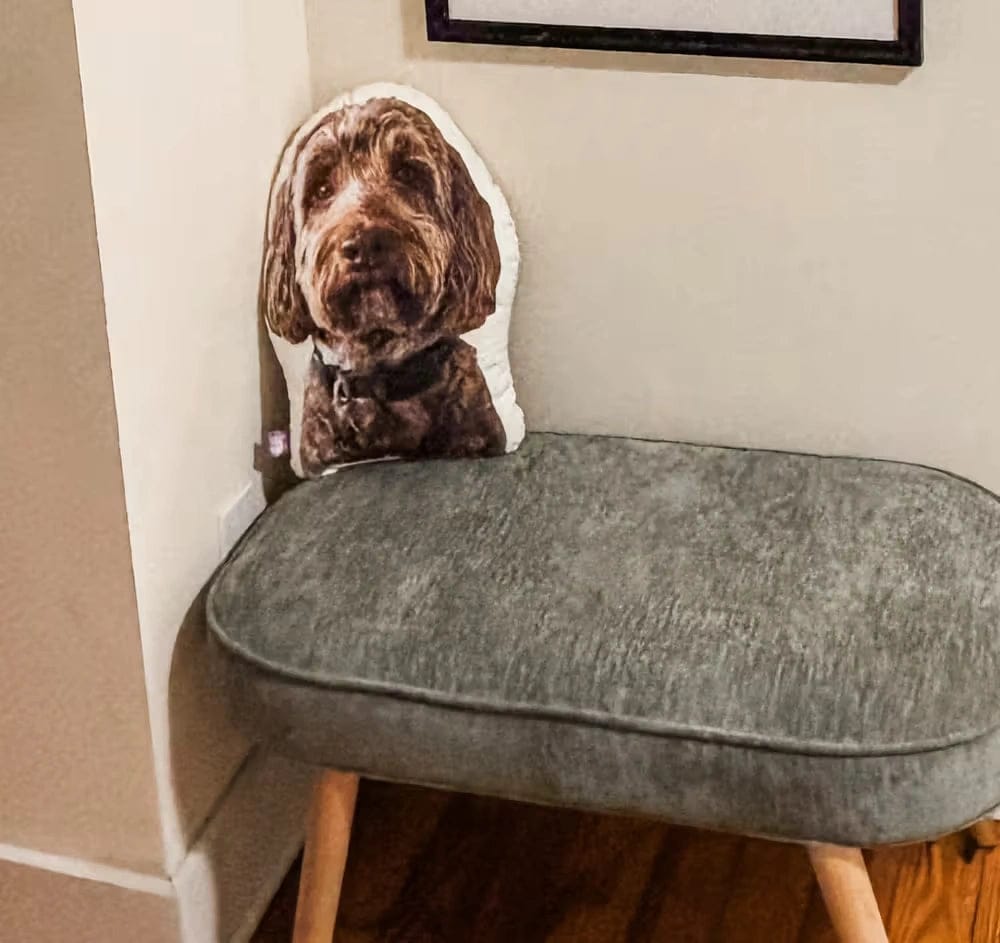 Customer photo review of Custom Photo Pillow for College & Back to School – Personalized Shaped Hug Pillow