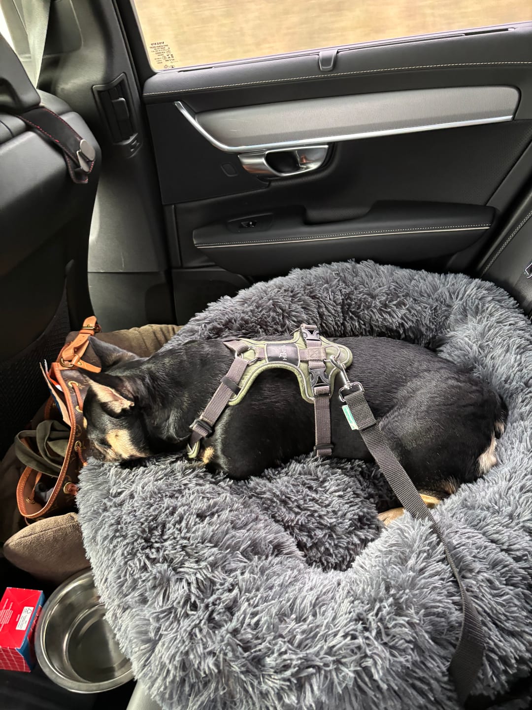Customer photo review of CalmBed - Mjuk och skön hundbädd för oslagbar komfort