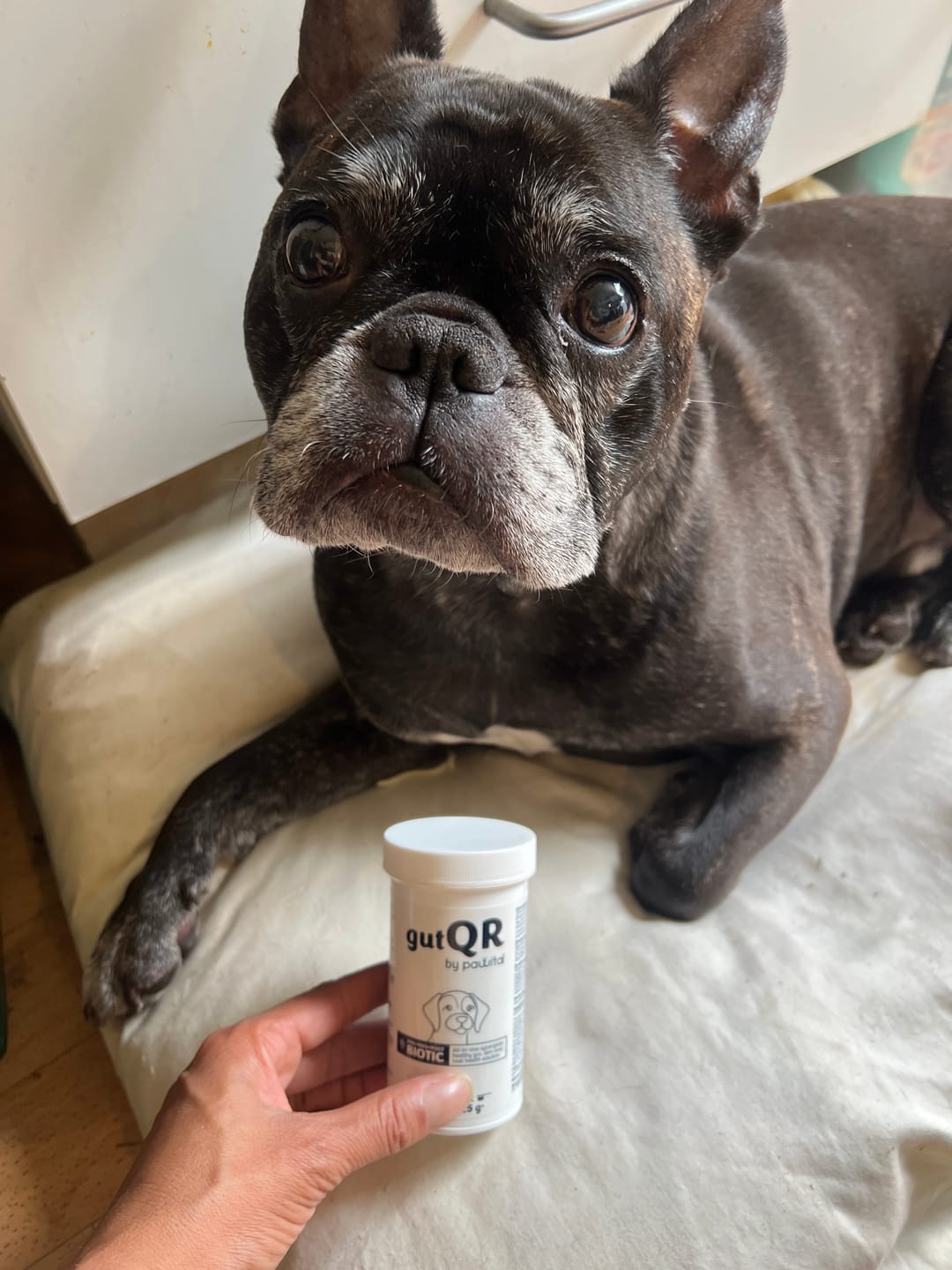 Customer photo review of gutQR Willkommenspaket DE