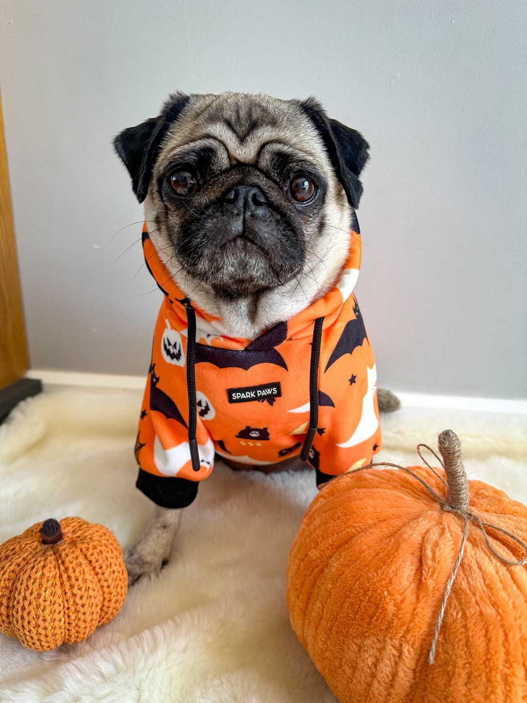 Customer photo review of Halloween Dog Hoodie - Orange (2)