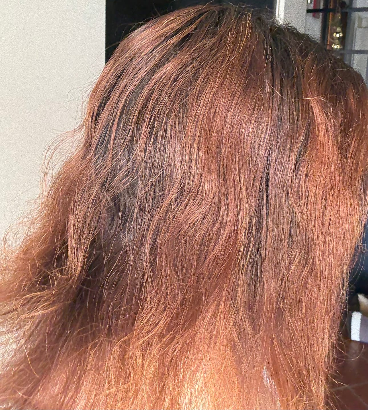 Customer photo review of CASTANO CHIARO 5N + MAYA