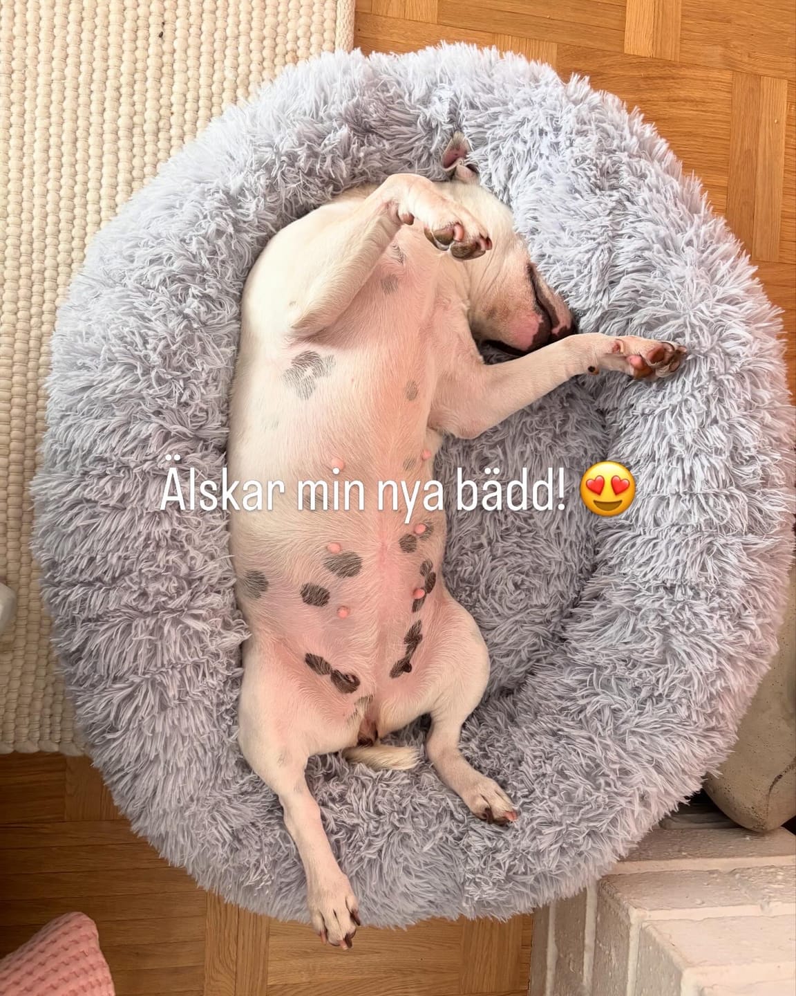 Customer photo review of CalmBed - Motverkar stress & hjälper mot ångest