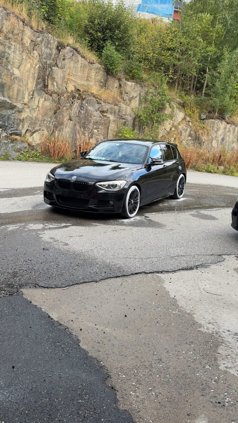 Customer photo review of BMW F20 & F21 Pre-LCI Performance Frontleppe