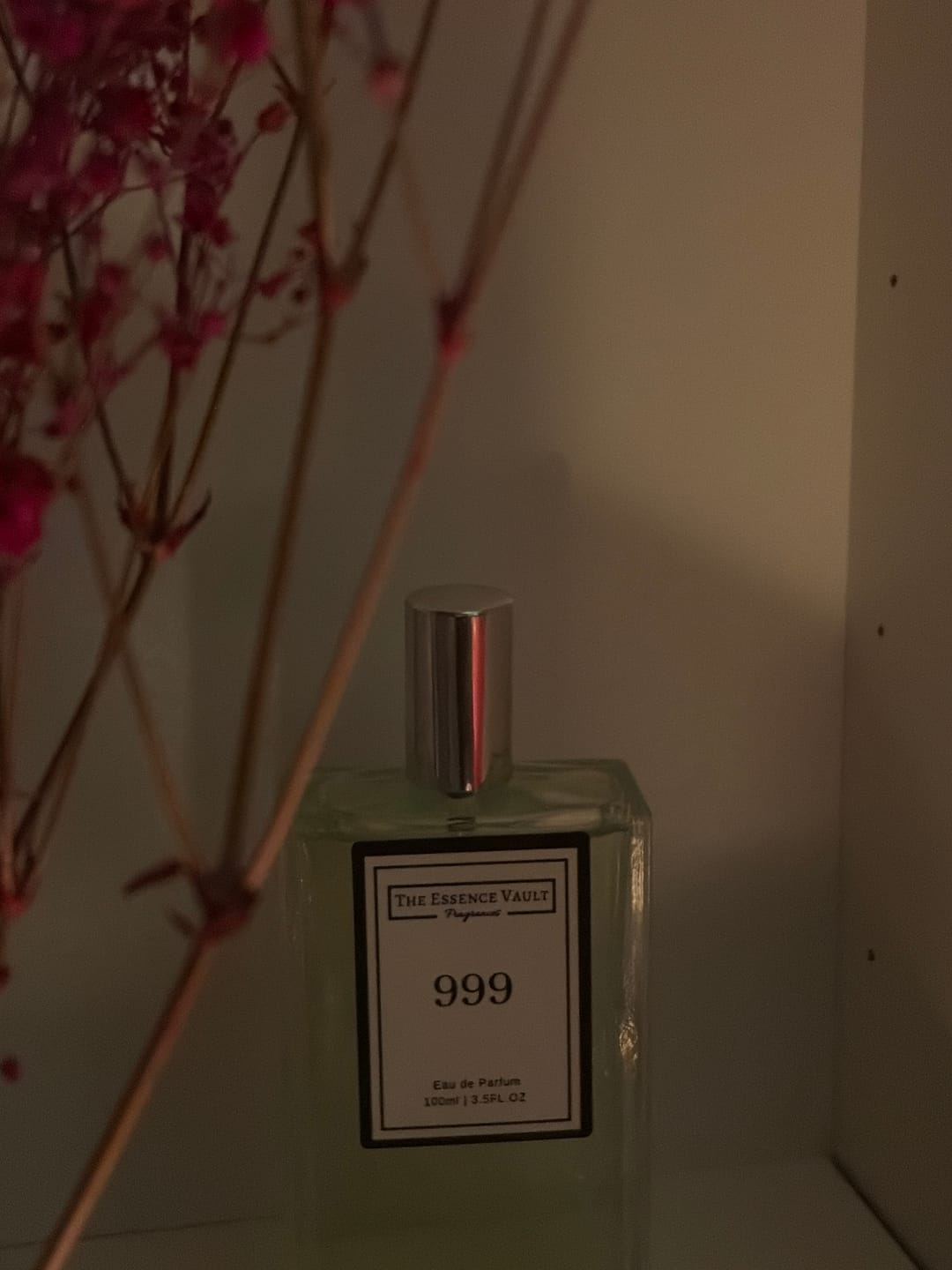Customer photo review of Inspired by Paradox - 999