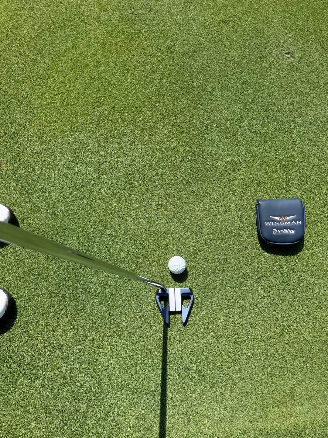 Customer photo review of Exotics Wingman 803 Putter