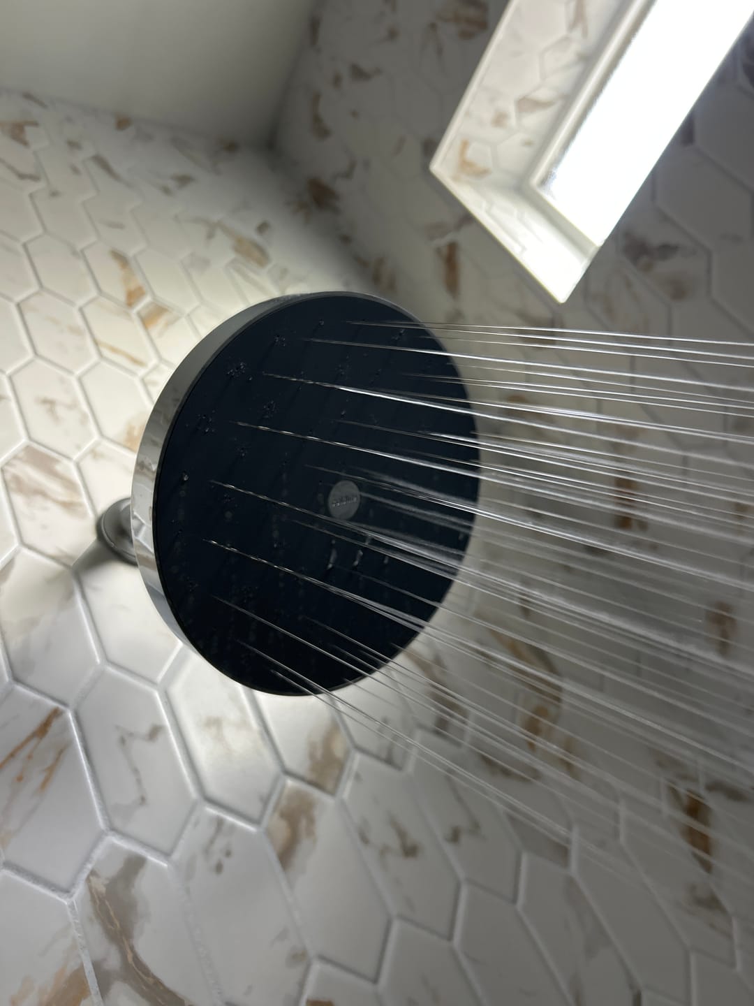 Customer photo review of Ultimate Showerhead
