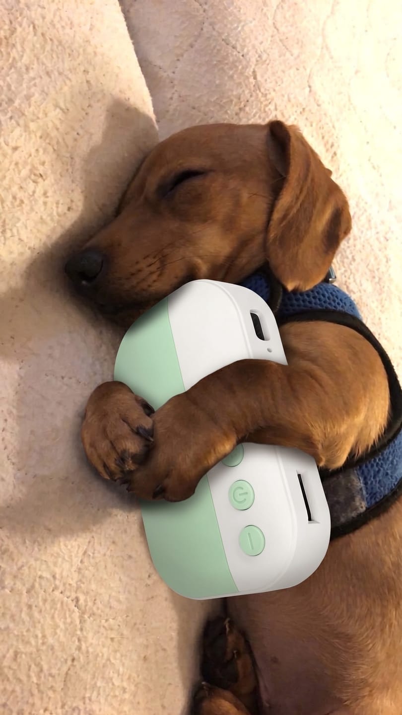 Customer photo review of PawSpa® Calmy™ — Sonidos de Relajación para Mascotas