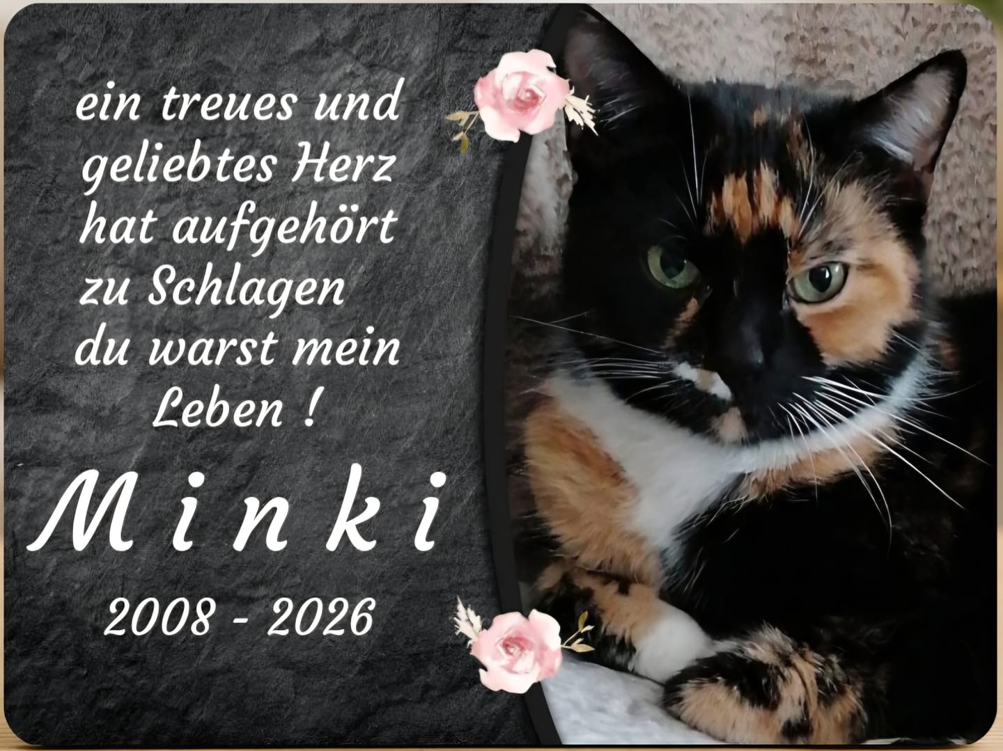 Customer photo review of Katzen Gedenktafel mit Foto & Spruch (UV- & Wetterfest)