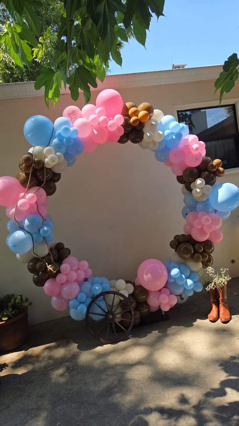 Customer photo review of 6ft 6.5ft Aluminum Alloy tube Round Circle Backdrop Stand For Wedding Birthday Baby Shower